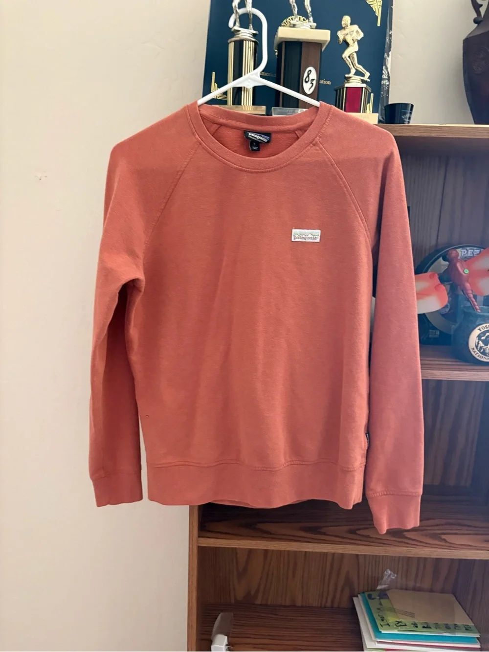 Patagonia Sweatshirt